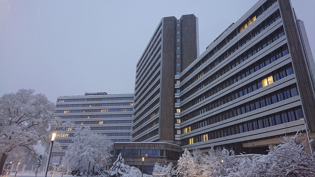 Die Zentrale der Bundesagentur für Arbeit in Nürnberg im Schnee: ein Hochhaus mit dunklen, senkrechten Fassadenstreifen zwischen zwei langen Bürotrakten mit hellen, waagerechten Bändern zwischen den Fensterreihen, davor verschneite Bäume und brennende Straßenlaternen in der Morgendämmerung.