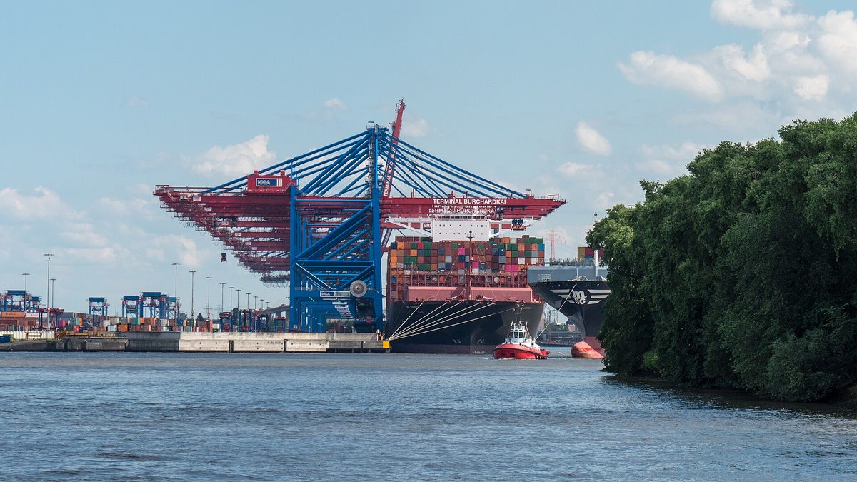 Blaue und rote Containerbrücken am Terminal Burchardkai im Hamburger Hafen, darunter ein voll beladenes Containerschiff und ein roter Schlepper, rechts dicht bewachsenes Ufer, im Vordergrund Wasser unter blauem Himmel.